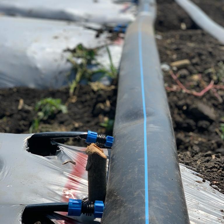 toro permanent farm micro irrigation system