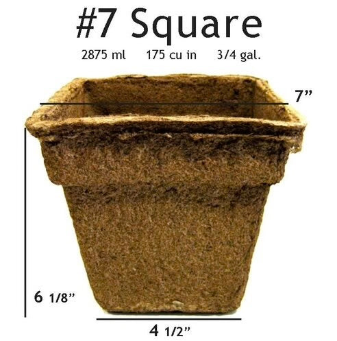 CowPot #7 Square Plantable Pot