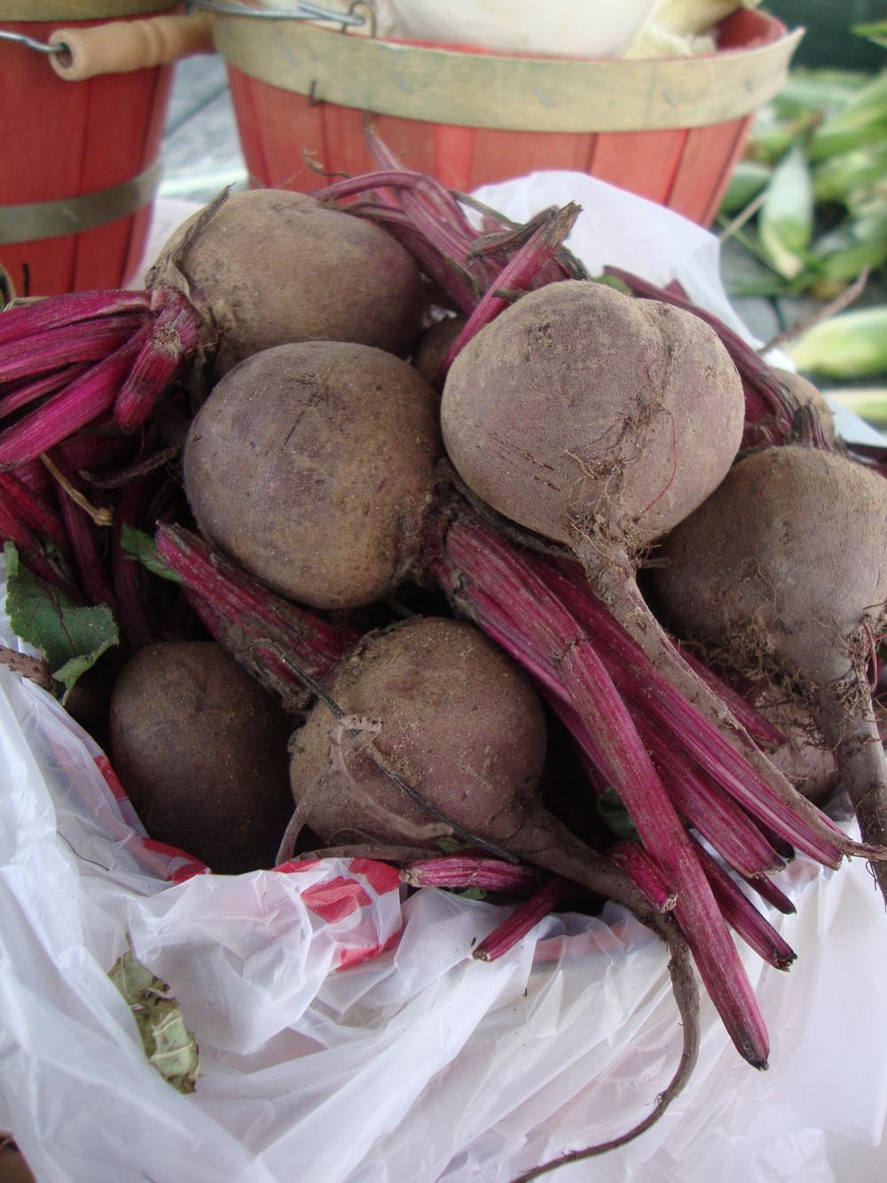 Early Wonder Tall Top Beet Seeds online shopping