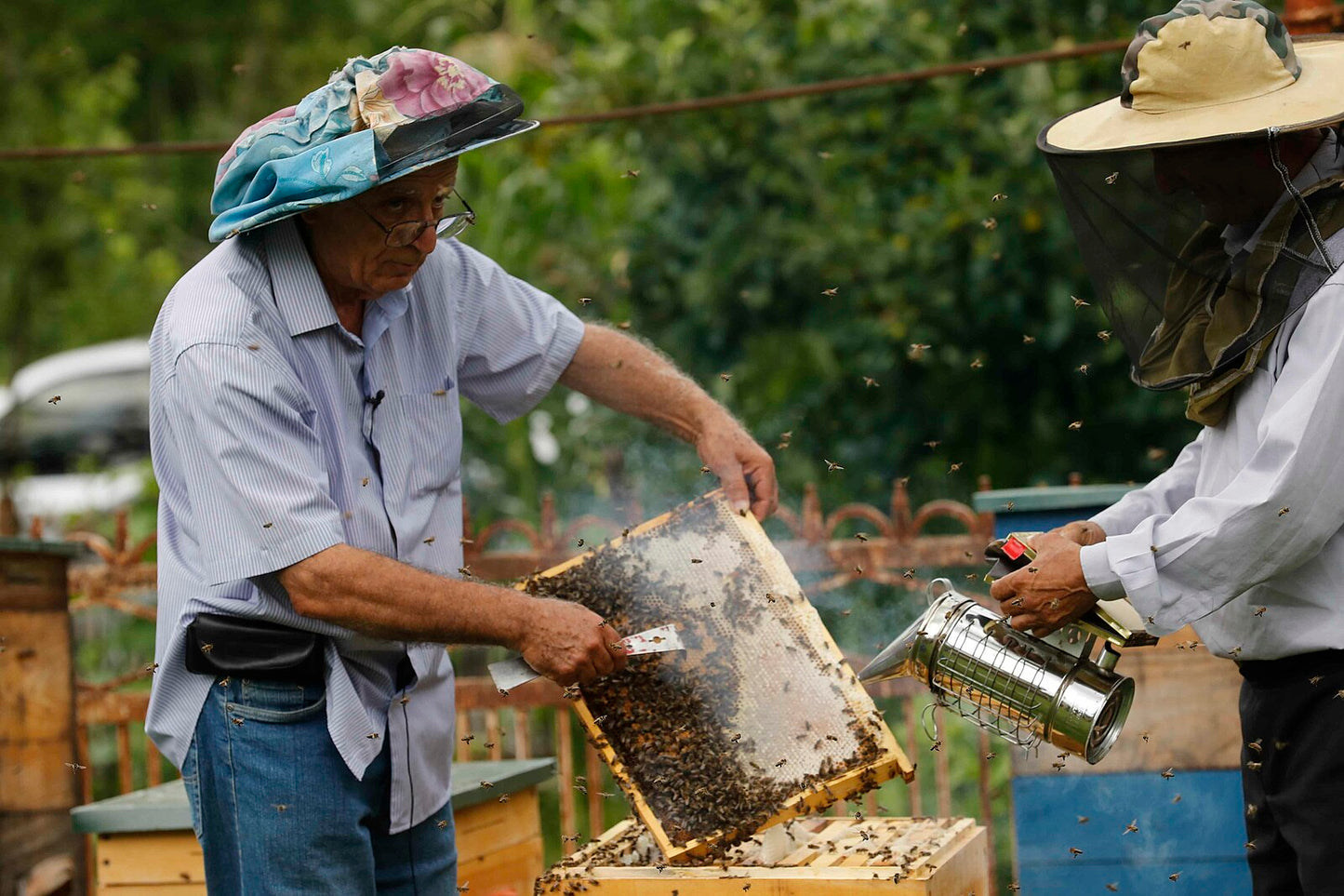 4 x 10 Bee Smoker with Shield.