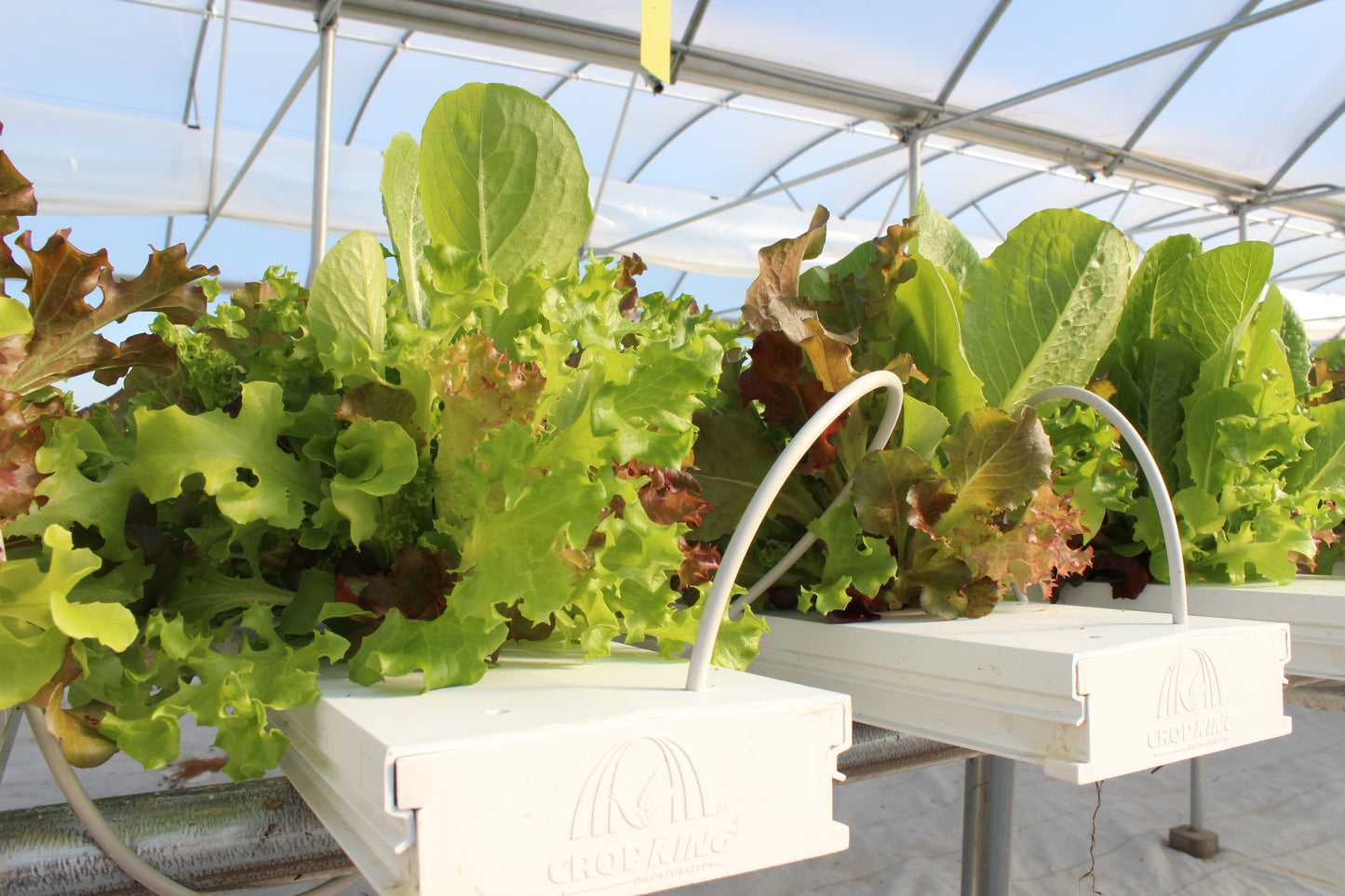 Cropking 36 Plants Continuous Flow NFT Hydroponic System Hardware and Pump