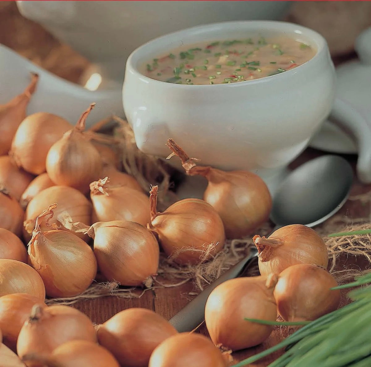 L’Orient Multiplier Onion