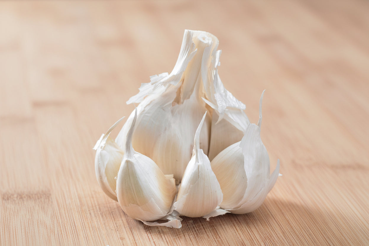 Music Hardneck Garlic Bulbs