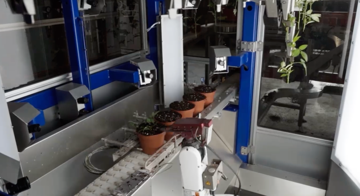 TTA ISO Cutting and Planting 1800