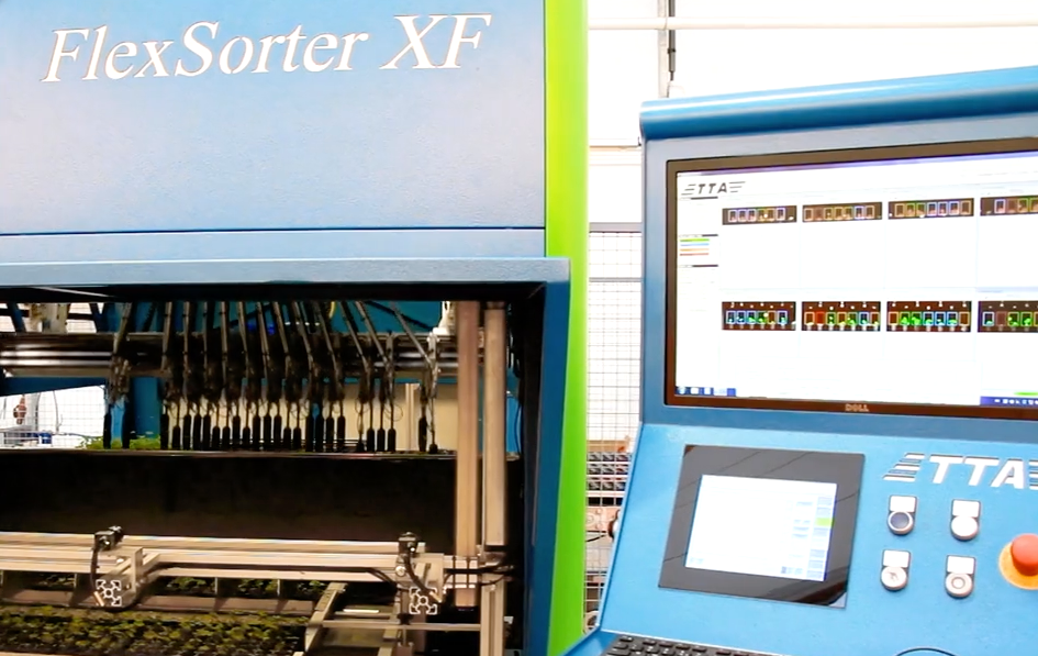 TTA ISO FlexSorter XF Grader