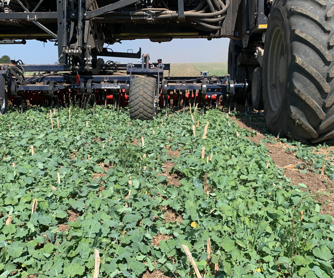 NEXAT - Baarck Tine Cultivator
