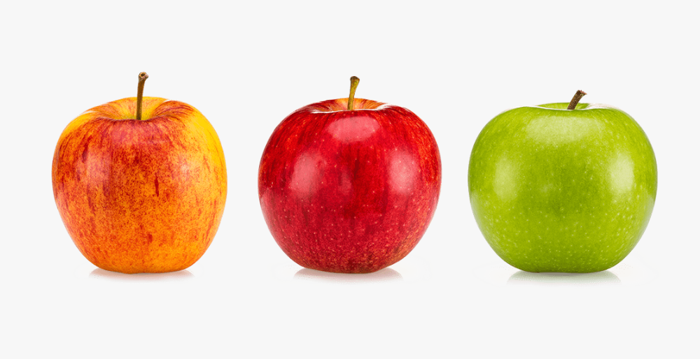 Aweta Apple Sorting and Packing Line