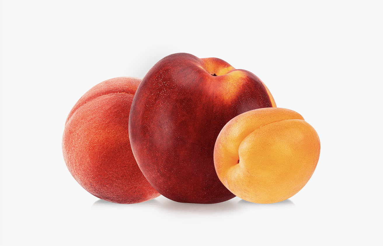 Aweta Stonefruit Sorting and Packing Line