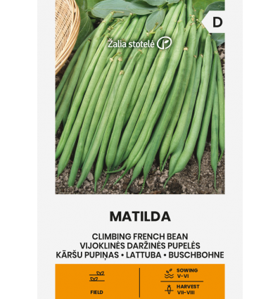 Matilda Pole Bean Seeds online shopping