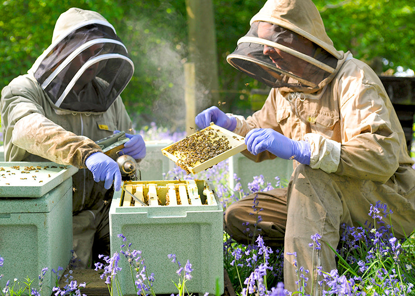 10 Frame BeeMax Assembled Deep Polystyrene Beehive