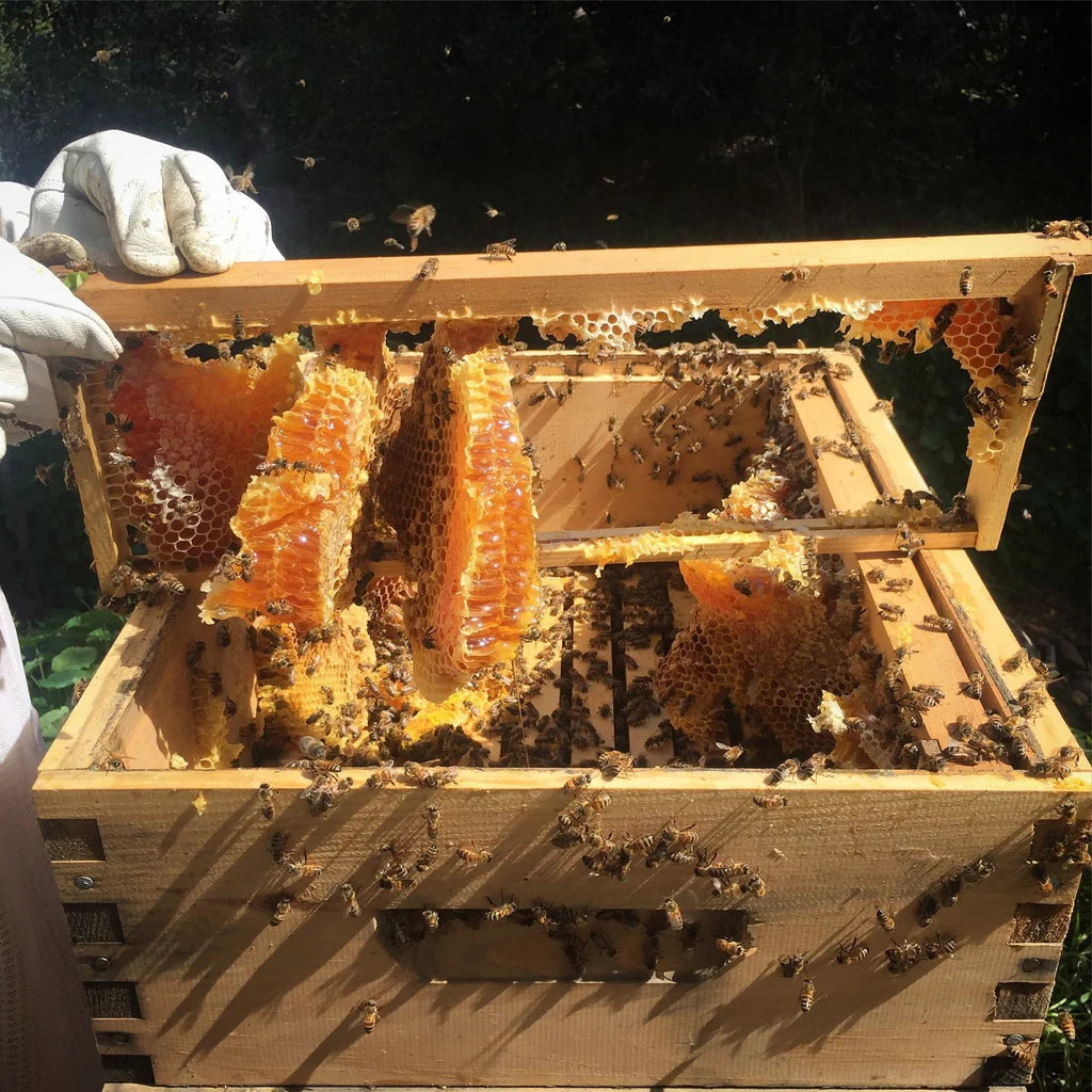 8 Frame Langstroth Beehive Unassembled Deep Super