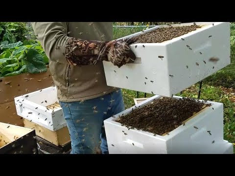 10 Frame BeeMax Unassembled Polystyrene Beehive Kit