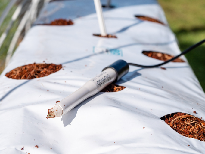 Bluelab Hydroponics Substrate Leap pH, Conductivity and Temperature Measuring Meter.