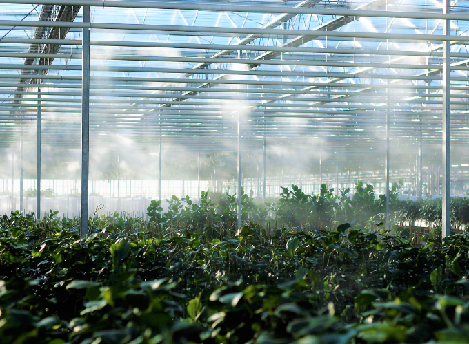 Bluelab Autogrow EnviroSensor for Indoor Growing Environmental Temperature, Relative Humidity, Carbon Dioxide and Light Measurements.