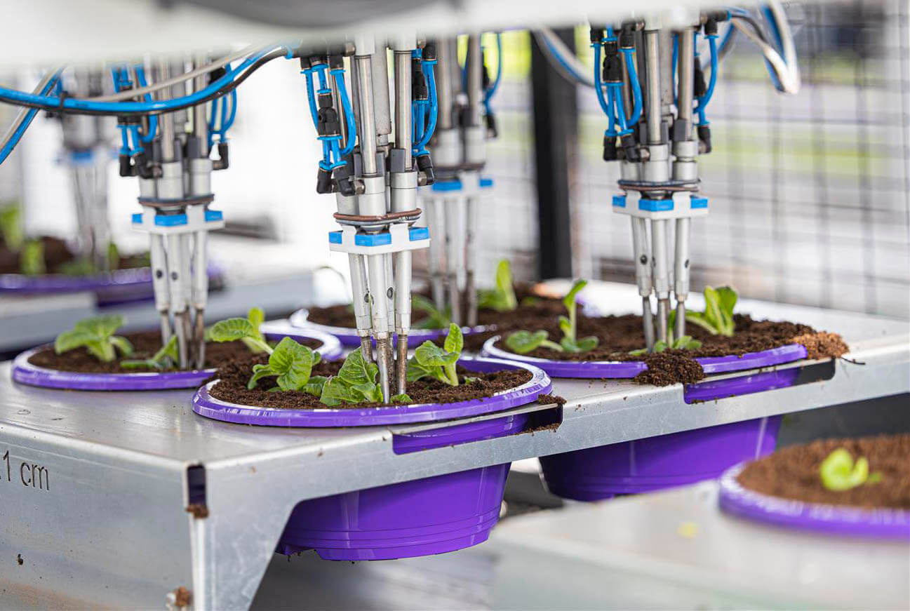 Viscon Pic O Mat Redline Transplanter