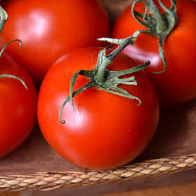 Red Racer Tomato