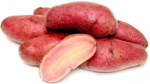 Red Thumb Fingerling Seed Potato online shopping