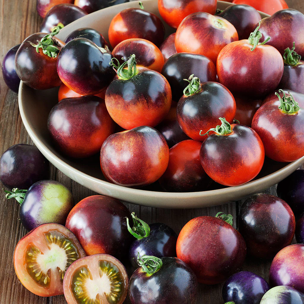 Indigo Rose Organic Tomato