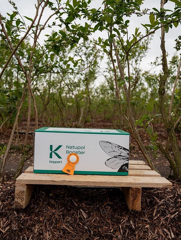 Natupol Booster Bumblebee Field Natural Pollinator