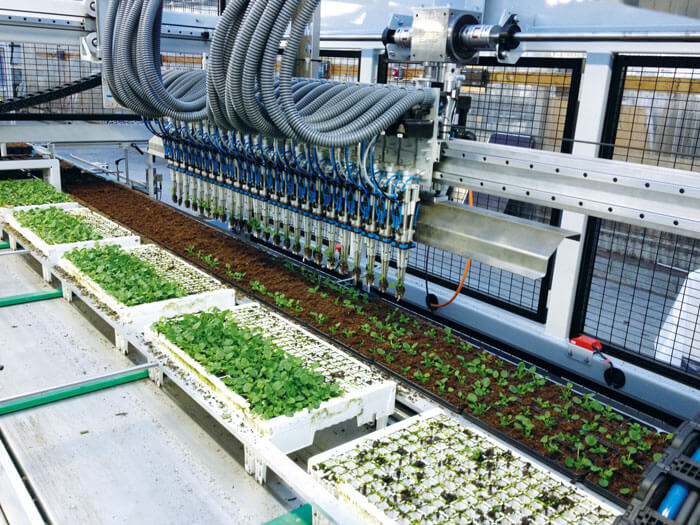 Viscon Pic O Mat Greenline Transplanter