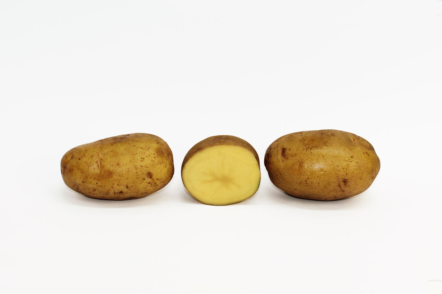 Edison Seed Potato online shopping