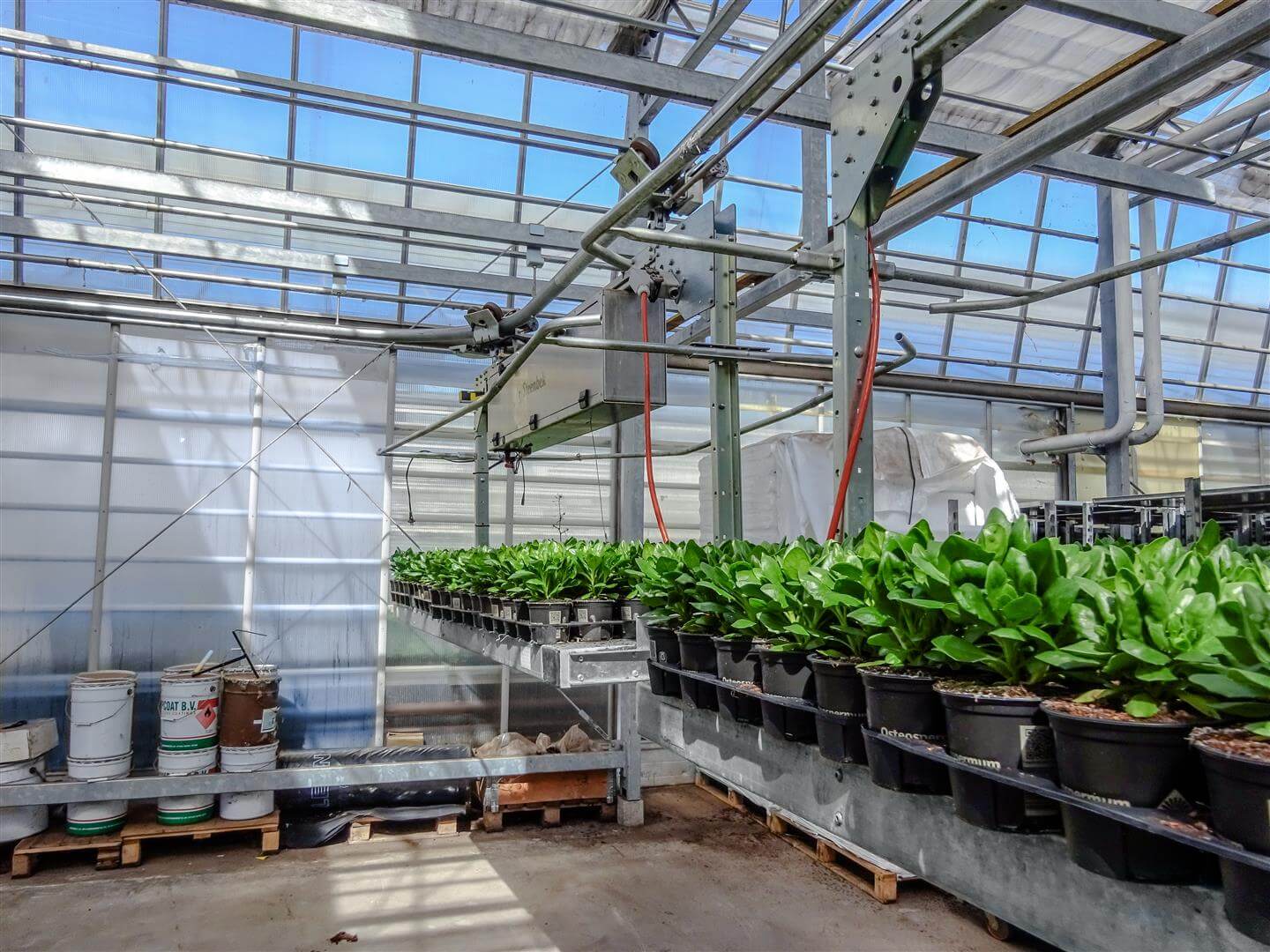 Viscon Monorail Greenhouse Internal Transport