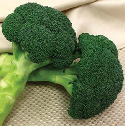 Centennial F1 Broccoli