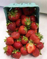 Archer June Bearing Strawberry