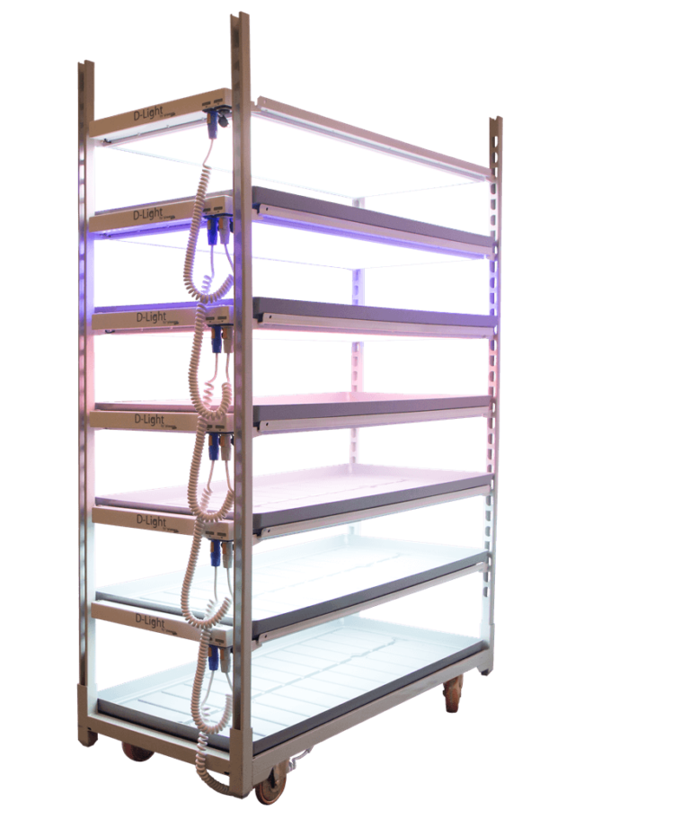 Viscon D Light Multi Layer Growing