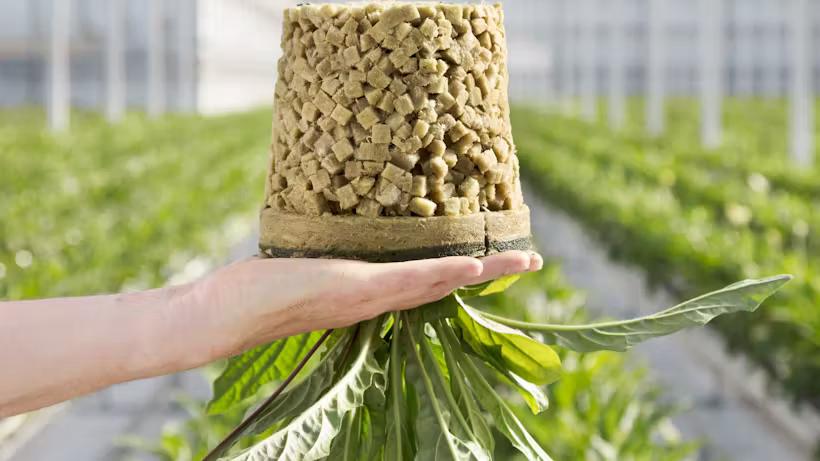 Grodan Grofit Floriculture Rock Wool Hydroponics Substrate