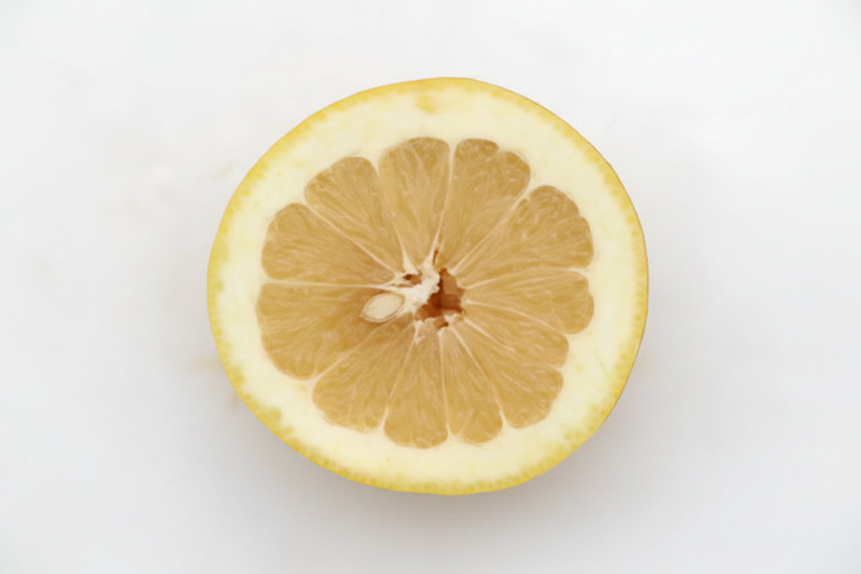 Oroblanco Grapefruit Budwood citrus plant material online shopping