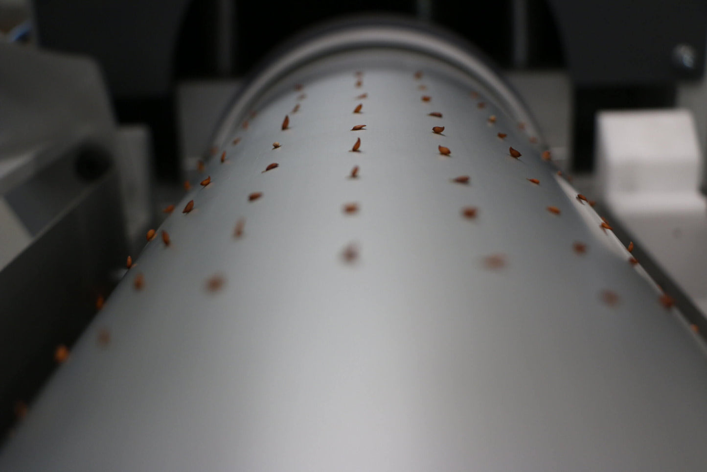 Viscon Roulette XL Seeder