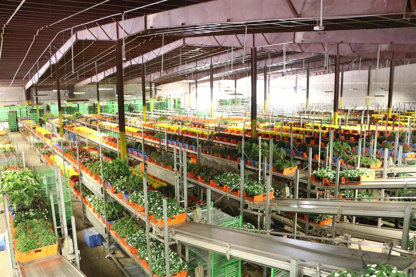 Viscon Buffering & Shipping Internal Transport Automation