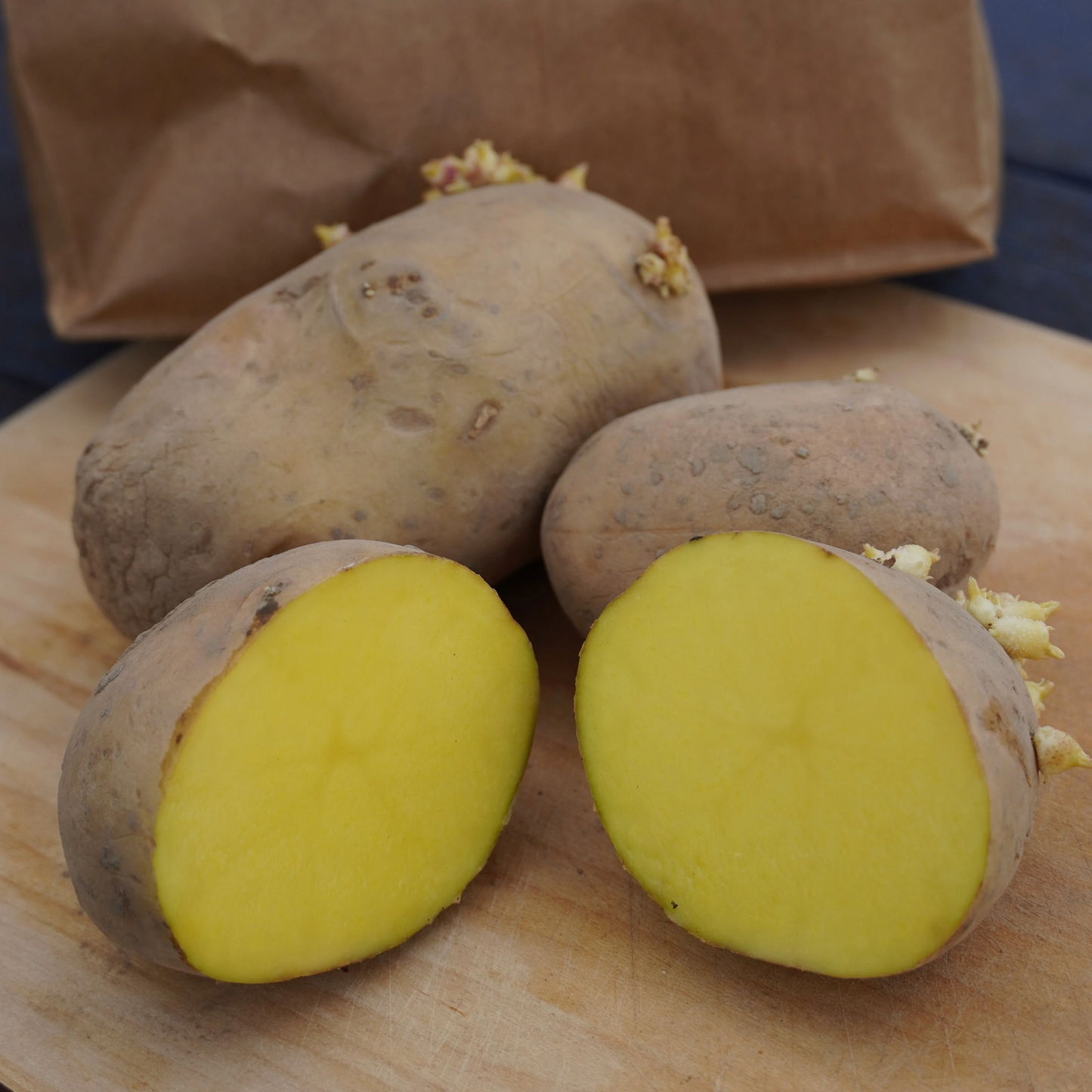 Gold Nugget Seed Potato online shopping