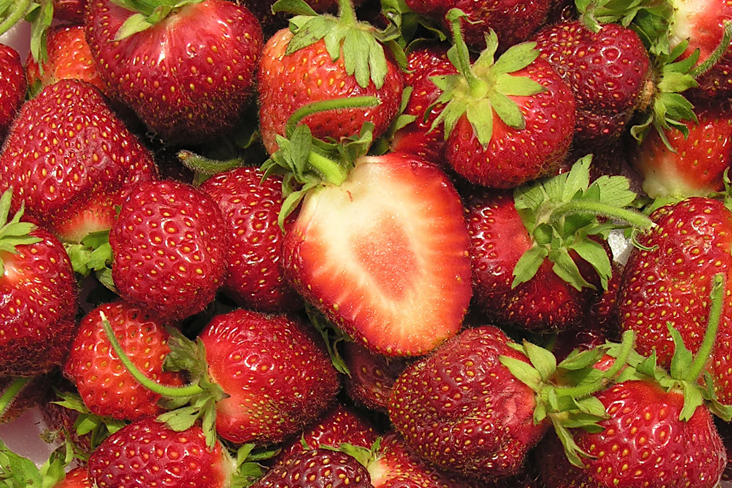 Cavendish Mid Season Strawberry