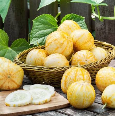 Lemon Cucumber