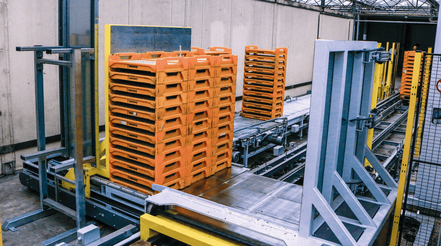 Viscon Palletizing & Strapping Internal Transport Automation