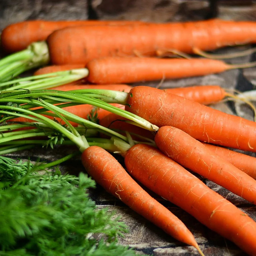 Napoli F1 Carrot