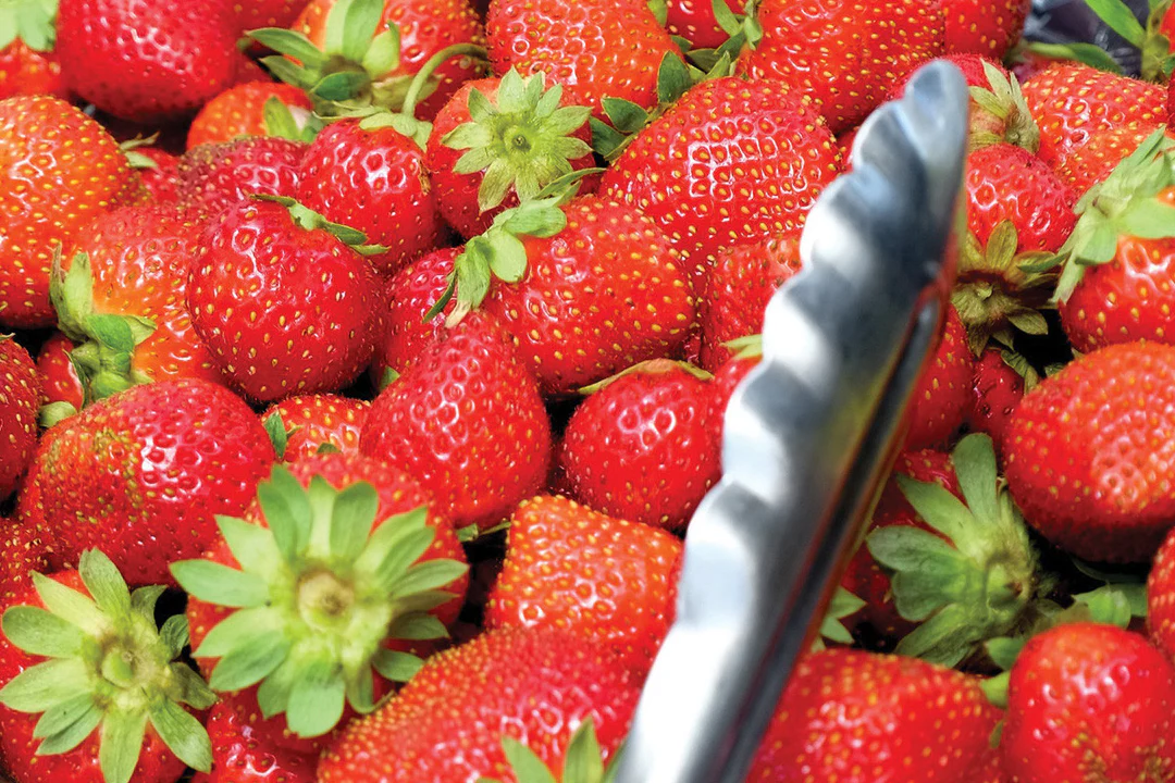 Charlotte Day Neutral Strawberry