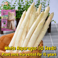 Voltaire Asparagus Seeds online shopping