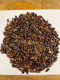 Fortex Pole Bean Seeds online shopping