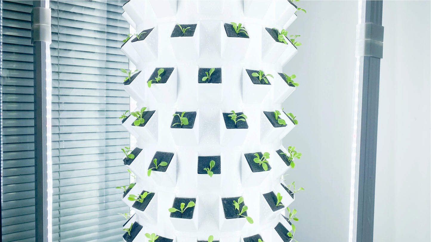 Lyine Vertical Growing Hydroponic Tower with Cube Growing System and Electric Timer