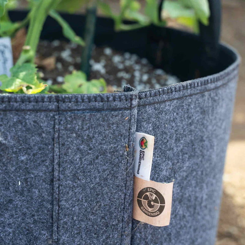 Felt plant grow bags with irrigation line holders.