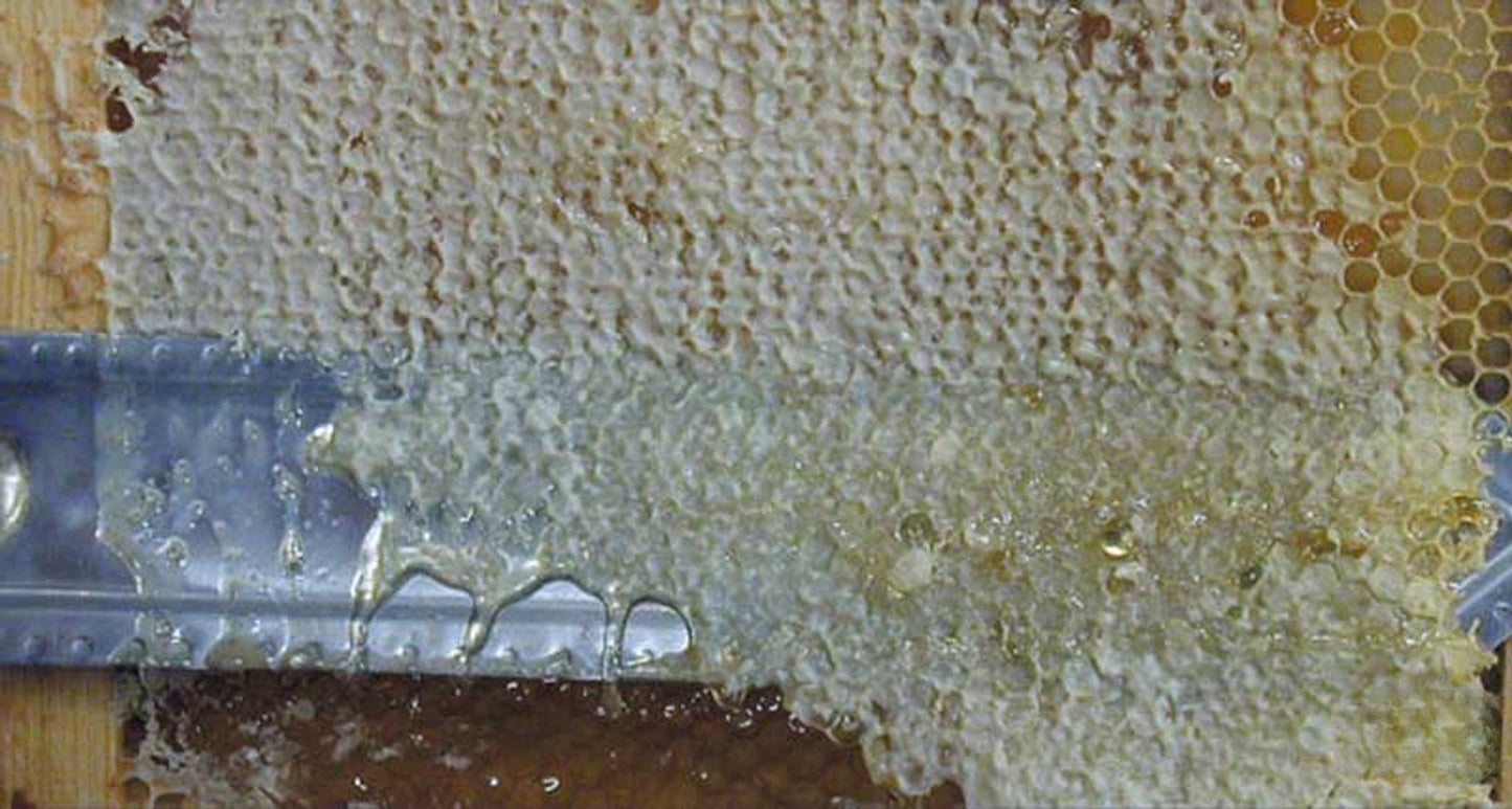 Electric Honeycomb Uncapping Knife with Manual Control Box and Stand