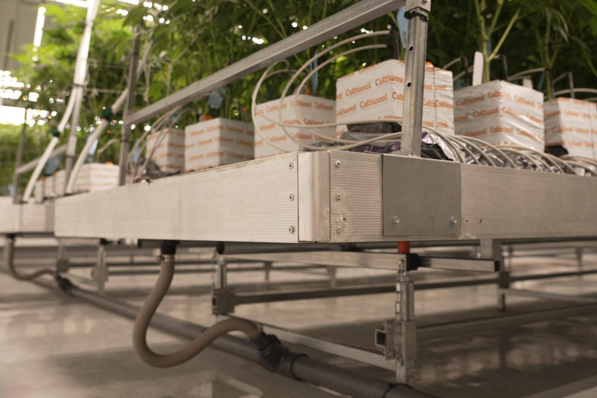 Rolling Benches – EVERGREEN