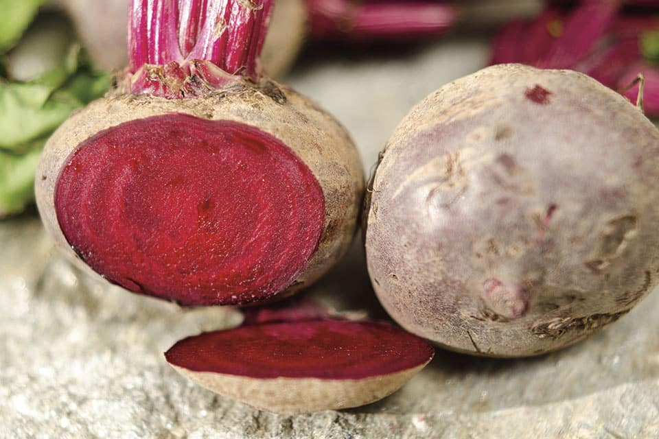 Boro F1 Coated Organic Beet Seeds online shopping