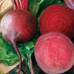 Merlin F1 Organic Beet Seeds online shopping