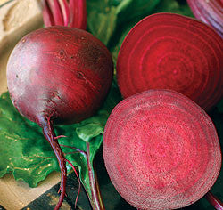 Merlin F1 Organic Beet Seeds online shopping