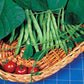 Derby Bush Bean Seeds online shopping
