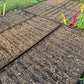 CowPot Plantable 10 Row Tray